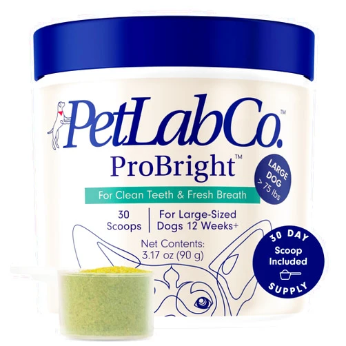 PetLab Co. ProBright Dental Powder - Dog Breath Freshener - Teeth Cleaning Made Easy – Targets Tartar & Bad Breath - Formulated for Large Dogs