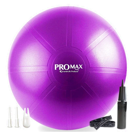 SmarterLife Products SmarterLife PRO MAX Workout Exercise Ball for Fitness, Yoga, Balance, Stability, or Birth Ball for Pregnancy and Labor, Great as Yoga Ball Chair for Office or Home Gym Equipment