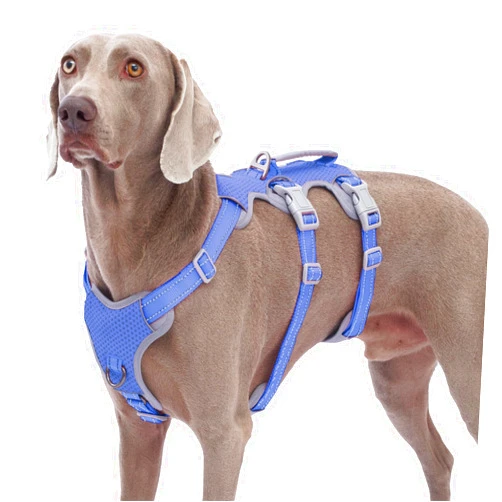 Huntboo Escape Proof Dog Harness, No Pull Reflective Harness with Lift Handle, Adjustable Pet Vest with Front and Back Leash Clips for Small Medium Large Dogs Walking Hiking Training (Vista Blue,L)