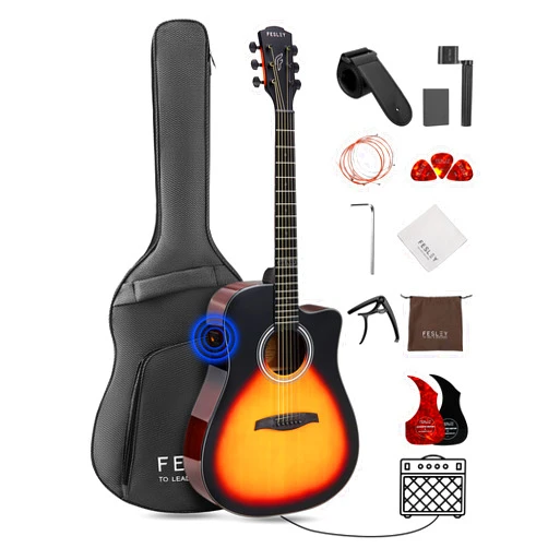 Fesley Acoustic Electric Guitar Kit: 41