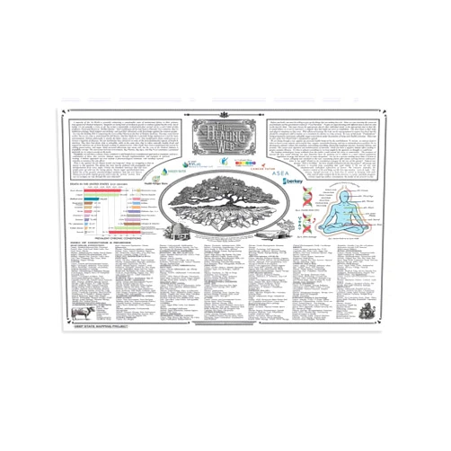 Generic The Healing Web Chart Natural Remedies Canvas Wall Art Posters Gifts Bedroom Painting Home Decor Hanging Pictures UnFramed,24x36inch(60x90cm)