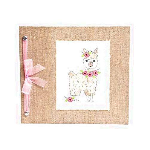 Hugs and Kisses XO Beautiful Baby Memory Book Keepsake, Hugs and Kisses XO, Baby Girl, Llama Pink Flowers, Baby Journal and Photo Album