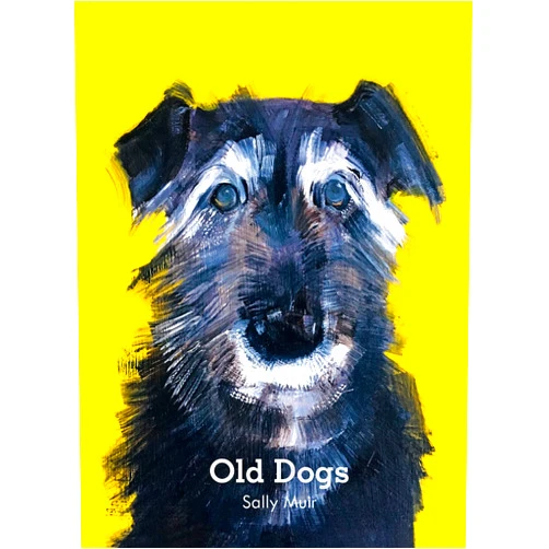 Sally Muir Old Dogs: A collection of charming dog portaits
