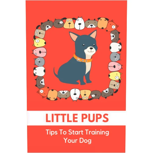 Marianne Welson Little Pups: Tips To Start Training Your Dog: Dog Training At Home