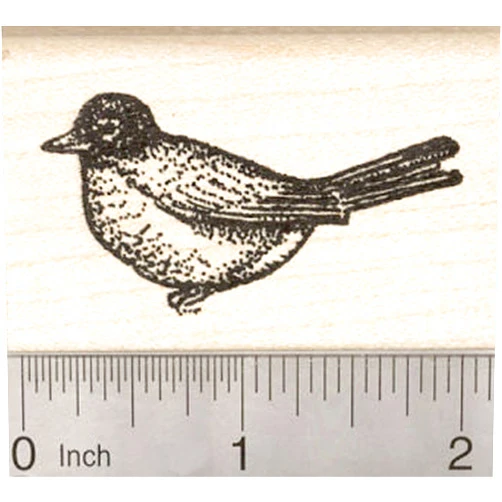 RubberHedgehog American Robin Rubber Stamp, Migratory Songbird Bird, Thrush