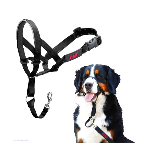 The Company of Animals HALTI Headcollar - To Stop Your Dog Pulling on the Leash. Adjustable, Reflective and Lightweight, with Padded Nose Band. Dog Training Anti-Pull Collar for Large Dogs (Size 4, Black)