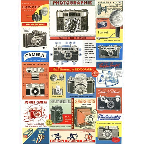 Cavallini & Co. Vintage Camera Decorative Decoupage Poster Wrapping Paper Sheet