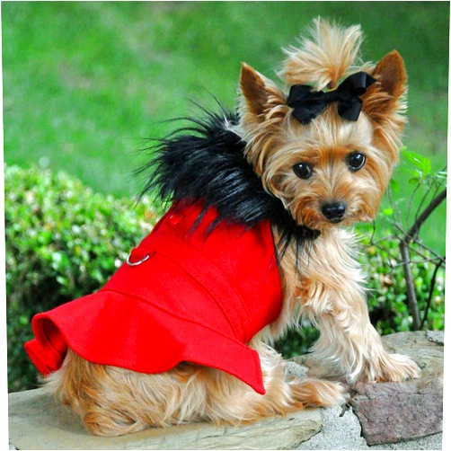 DOGGIE DESIGN Wool Fur Trimmed Dog Harness Coat with Leash (S, Red)
