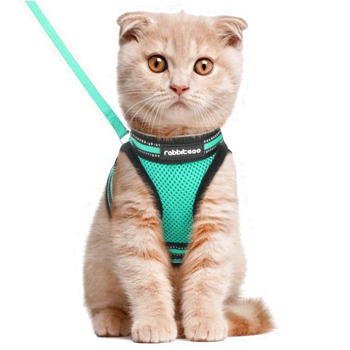 rabbitgoo Cat Harness and Leash Set for Walking Escape Proof, Adjustable Soft Kittens Vest with Reflective Strip for Cats, Comfortable Outdoor Vest,Green,L