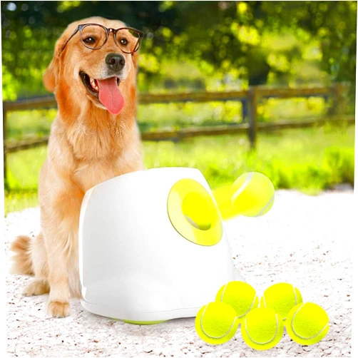 ALL FOR PAWS Automatic Dog Ball Launcher for Medium to Large Dogs, Interactive Dog Ball Thrower Mental Stimulation Dog Toys, Dog Tennis Ball Machine with Standard Tennis Balls, Rechargable & Reliable