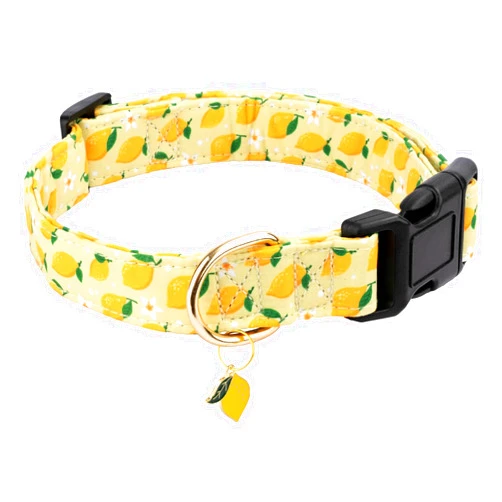 Gelwoo Cotton Dog Collar,Soft and Cute Puppy Collars with Lemon Patterned Design for Girl Female Boy Dogs,Adjustable Buckle Pet Collar for Small Medium Large Dogs (Yellow Lemon, Medium)