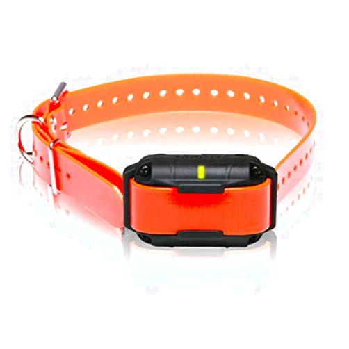 Dogtra 2300NCP Additional Receiver Professional Grade High-Output 3/4-Mile 2-Dog Expandable Remote Training E-Collar