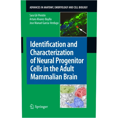 By Sara Gil-Perotín (Author), Arturo Alvarez-Buylla (Author), Jose Manuel Garcia-Verdugo (Author) & 0 more Identification and Characterization of Neural Progenitor Cells in the Adult Mammalian Brain (Advances in Anatomy, Embryology and Cell Biology, 203)