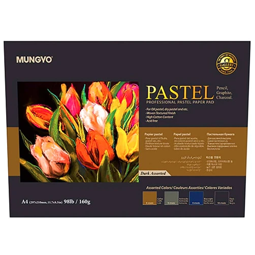 Eutuxia MUNGYO Professional Pastel Paper Pad. A4 Size Oil Pastel Paper, 30 Sheets (Assorted Dark Color), Drawing Board, Artist Paper, Art & Crafts, Hobby