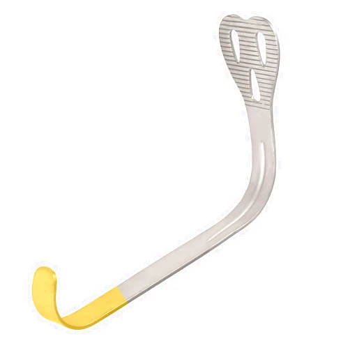 AAProTools Dental Weider Tongue Cheek Retractor Gold (Adult) Dental Instruments