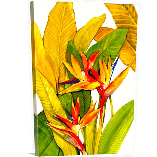 CANVAS ON DEMAND Tropical Bird of Paradise Canvas Wall Art Print by Tim O'toole, Home Decor, Artwork, 12