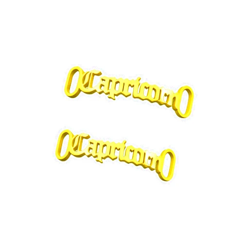 ZUOPIPI 2pcs Zodiac Shoelace Buckle Zodiac Lace Charms for Sneakers Zodiac Decoration Shoelace Charms