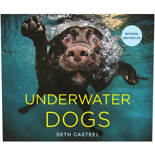 Seth Casteel Underwater Dogs