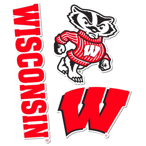 Desert Cactus University of Wisconsin Sticker Badgers UW Madison Vinyl Decals Laptop Water Bottle Car Scrapbook T5 (Type 5-1)