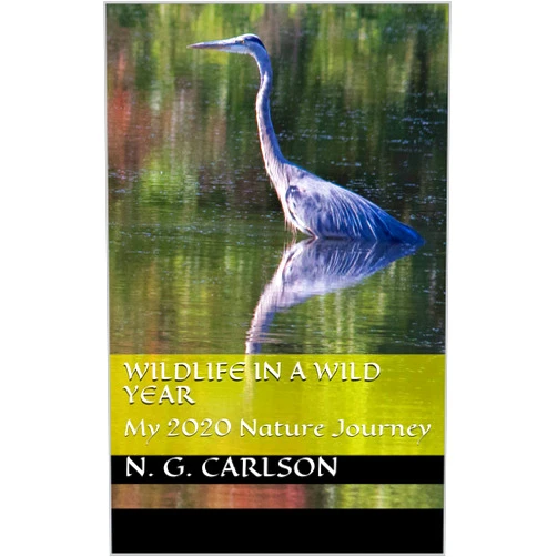 N. G. Carlson,Betsy Salvatore,Tammy Erwin Wildlife in a Wild Year: My 2020 Nature Journey (Wildlife photographs Book 2)