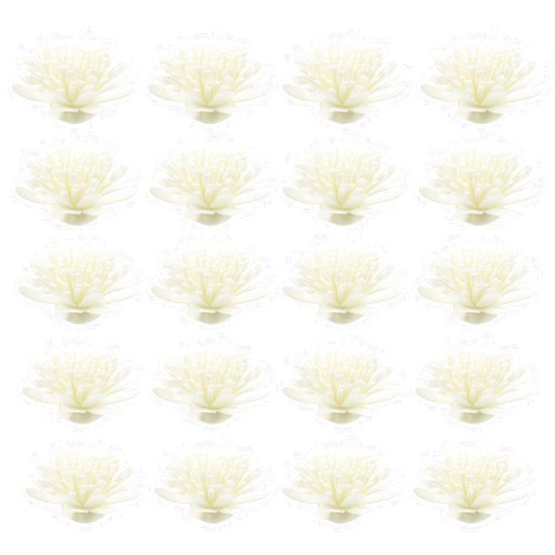 WOFASHPURET 100pcs Aromatherapy Flowers Flower Reed Flower Oil Diffuser Natural Essential Oils Floral Reed Diffuser Artificial Rose Diffuser Chrysanthemum Flowers White Perfume Flower Aromatic