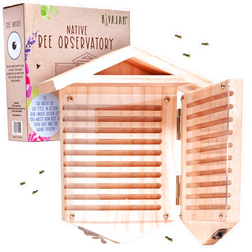 Rivajam Native Bee Observatory | Mason Bee Houses for Pollinating Bees | Pollinator Bee Houses for The Garden Lover | Leaf cutter Bee Home | Unique Gardening Gifts