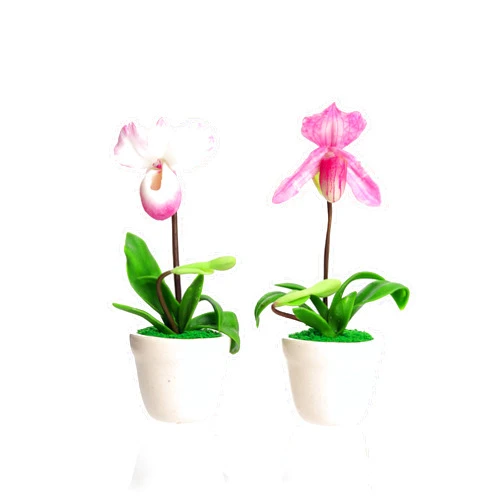 Ablossom Paphiopedilum White, Pink Orchid (Lady Venus Slipper) 3D Flower Magnets for Fridge Cute Japanese Aesthetic Plant Strong Magnets for Refrigerator, Locker, and Desk Decor—Set of 2 Pieces.