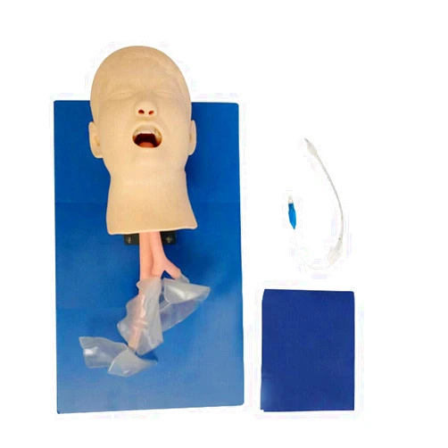 SHZICMY Intubation Model, Airway Management Trainer Intubation Manikin Oral Nasal Training Study Tracheal Baby Care Teaching Simulator Model for Teaching& Training