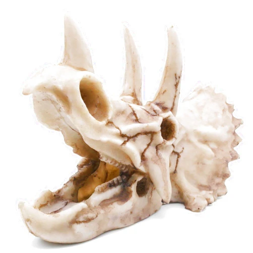 Kocris Casa Fish Hideout Cave Dinosaur Animal Skull Reptile Ornament Halloween Décor for Terrarium Aquarium Large Decorations Betta Tarantula Snake Decor Bones