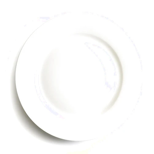 IQCWOOD 8 Inch Porcelain Dinner Plates, White Dinner Plate Set of 6, Dessert Salad Appetizer Flat Plates, Modern Round Plate