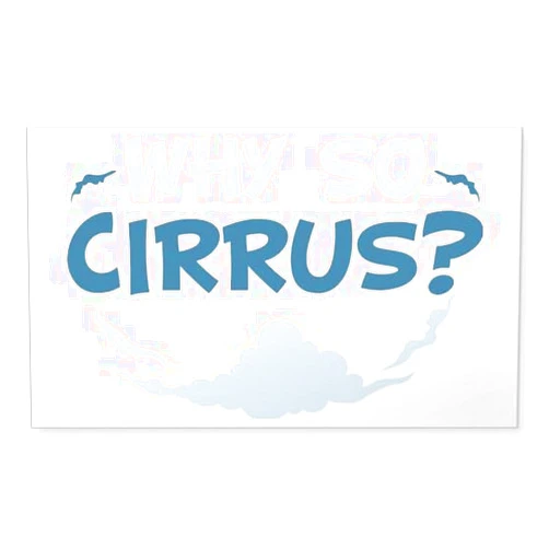 CafePress Meteorologist Weatherman Meteorology Why So Cirrus Rectangle Bumper Sticker Car Decal
