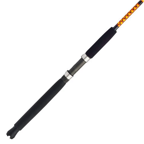 Ugly Stik Bigwater Casting Fishing Rod