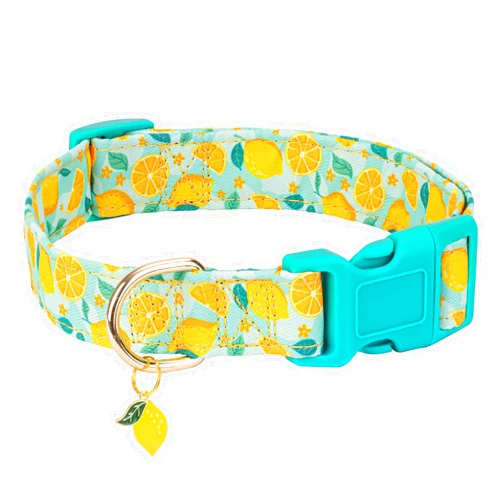 Gelwoo Cute Dog Collar Adjustable and Lightweight for Girl Female Boy Dogs,Soft and Fancy Summer Dog Collar with Lemon Special Design Pet Collar for Small Medium Large Dogs (Medium, Yellow)