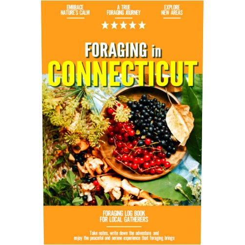 Emily Reyes-Ellis Foraging in Connecticut: Foraging Log Book for Local Backyard Gatherers | Embrace Nature's Calm | A True Journey into the Woods