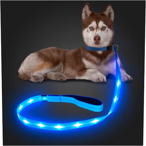 Candofly Reflective LED Dog Leash - Glow in The Dark Dog Leash USB Reachargeable Lighted Dog Rope, 4 Ft Durable Water Resistant Flashing Dog Leads for Dogs Walking at Night (Sky Blue)