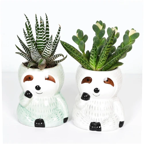 Mumutie Cute Sloth Succulent Planter - Ceramic Cartoon Pot with Drainage Hole - Adorable Windowsill Decoration - Ideal for Cactus and Succulents