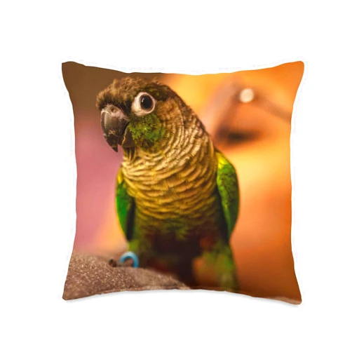 Bird Lover Gift Ideas Green Cheek Conure Throw Pillow