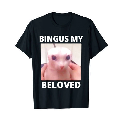 Bingus Is Calling My Beloved Hairless Sphinx Cat Bald Bingus My Beloved Hairless Sphinx Cat Bingus Cat Meme T-Shirt