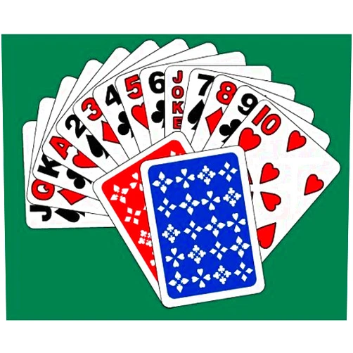 ASF Lightware Solutions [4 Decks] Beam N Read High Visibility Playing Cards with Extra Bold Print for Low Vision, Bridge Size