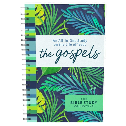 Tracy M Sumner The Gospels: An All-In-One Study on the Life of Jesus (The Bible Study Collective)