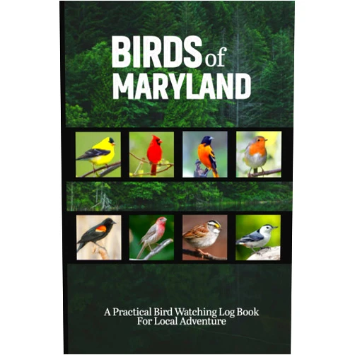 Millerrlois Press Publication Birds Of Maryland: Bird Watching Logbook For Bird Watcher. Track And Record Birds Activities In This Notebook Journal. Simple Bird Activities ... And Incredible Adventures For Adults & Kids.