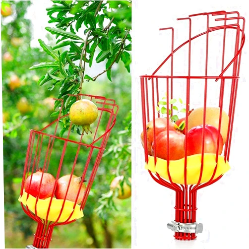 ROTORS Fruit Picker Basket Head, 2024 New Fruit Picker Harvester Basket, with Cushion to Prevent Bruising, for Avocado Acorn Lemon Pear Mango Tree Picker, Not Include Pole (1 pcs)