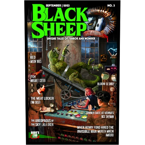 Wayne Kyle Spitzer,Evan Kaiser,DL Shirey,R.A. Daunton,Rick Sherman,Margaret Cotter,Mason Yates,Matt McHugh,Läilä Örken,Maureen Mancini Amaturo Black Sheep: Unique Tales of Terror and Wonder No. 3: September 2023