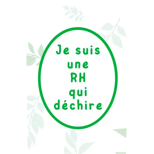 Valou Edition Je suis une RH qui déchire: Journal carnet de notes ligné super cadeau original pour RH, collègue, femme anniversaire Noël (French Edition)