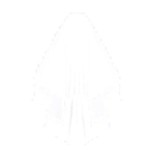 CICITOYWO Bridal Veil Wedding Vails Women's Simple Short Wedding Veils White Ivory Tulle with Comb for Brides Shower Bachelorette Hen do Night Party (White/Ribbon Edge)