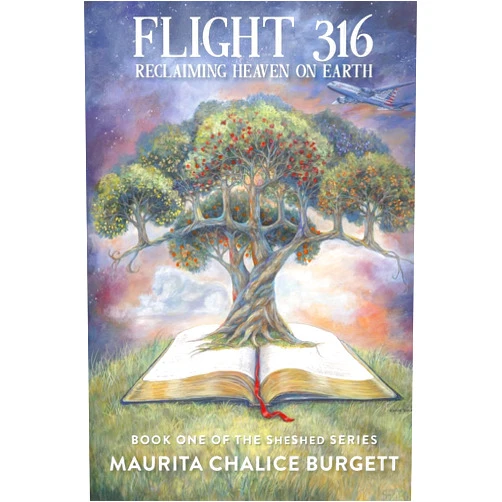 Maurita Chalice Burgett Flight 316: Reclaiming heaven on Earth (SheShed Series)