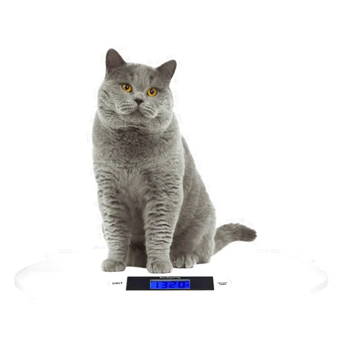 SIKE Feline Scale, Digital Portable Pet Dog Cat Scale; Comfort Baby Scale, 44 Pound Capacity, 3 Weighing Modes, Accurate Digital Scale for Infants, Toddlers, and Babies