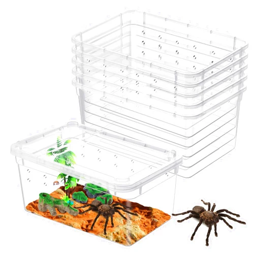 Worldity 8 Pcs Reptile Feeding Box, Plastic Spider Terrarium Tarantula, Feeding Box for Bearded Dragon Lizard Spider Gecko Scorpion, 5.11 x 3.14 x 2.55 in