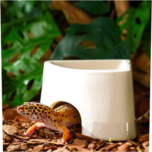 XEOGUIYA Reptiles Shelter, Lizard Humidification Shelter Reptile Hideouts, Cave Scenery Climbing Pets for Lizard, Spider, Snake, Frogs (Ceramics)