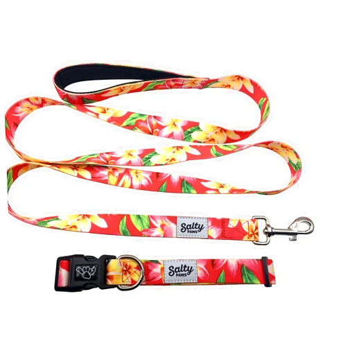 Shaka's Salty Paws Soft Dog Collar and Dog Leash Matching Set Cute Floral Collar for Girl Dogs Pink Hawaiian Print Collar Leash Combo for Small Dogs Puppies up to 25 lbs Premium Flexible Strong Secure